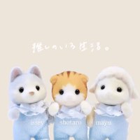๐ ๐ ๐ ๐ (@__pomit09) 's Twitter Profile