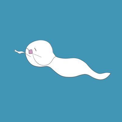 しらりさんさんのプロフィール画像