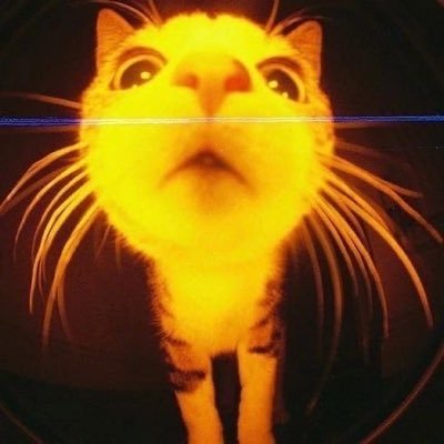 tfwyan's profile picture. 