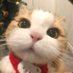F (@ramadanfight) Twitter profile photo F (@ramadanfight) Twitter profile photo