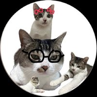 Pppppppaaaaaaaaaaddddddaaaaaaa (@pa_ran_ba_da) 's Twitter Profile