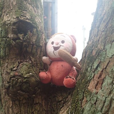 HideyaKono's profile picture. Researcher at RIKEN PRI/CSRS