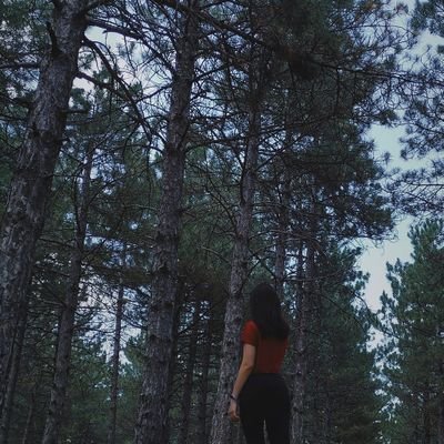 coruscatedpica's profile picture. metu psychology 21'
metu bioinformatics 25'
