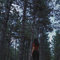 𝑠𝑦𝑙𝑣𝑒𝑠𝑡𝑟𝑖𝑠 𝑑𝑒𝑎 (@coruscatedpica) 's Twitter Profile Photo 𝑠𝑦𝑙𝑣𝑒𝑠𝑡𝑟𝑖𝑠 𝑑𝑒𝑎 (@coruscatedpica) 's Twitter Profile Photo