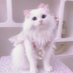 ゆん (@ynnnnn0_0uu) Twitter profile photo ゆん (@ynnnnn0_0uu) Twitter profile photo