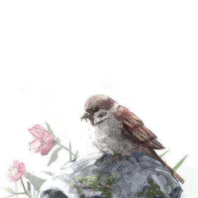 山本蟻さんのプロフィール画像