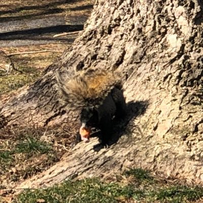 hufflemeye572's profile picture. 