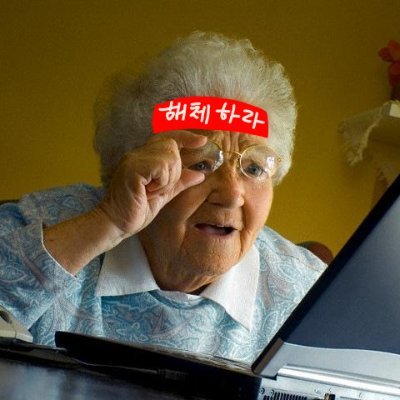 불미스러운 할머니 Profile