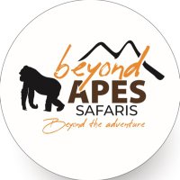 Beyond Apes Safaris (@beyondapes) 's Twitter Profile