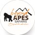 Beyond Apes Safaris (@beyondapes) Twitter profile photo Beyond Apes Safaris (@beyondapes) Twitter profile photo