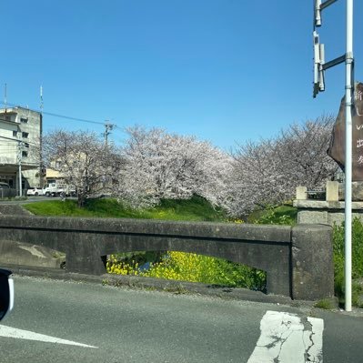 miyabi2823's profile picture. 