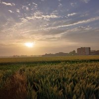 كان ي مكان💔 (@mahmoud5066) Twitter profile photo