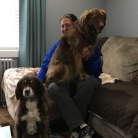 Danielle Henderson OLY (@danihenderson44) 's Twitter Profile