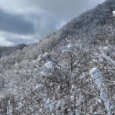 のみさんのプロフィール画像