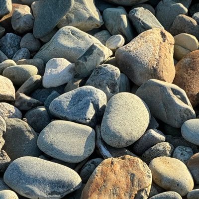 F1tch_'s profile picture. 