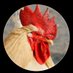 UTKU Utkuoglu (@utkuutkuog51337) Twitter profile photo UTKU Utkuoglu (@utkuutkuog51337) Twitter profile photo