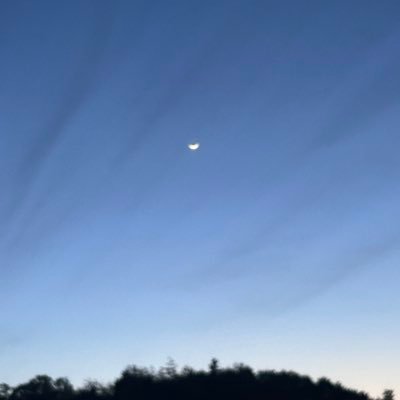 yolugasuk1's profile picture. ミゼットとコペンが好きなインプとスペーシアの飼い主。