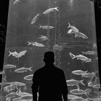 penikmatice's profile picture. 🤟