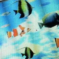 An7nek (@an7nek) 's Twitter Profile