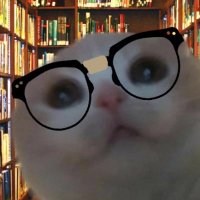The Grrrchive (@grrrchive) 's Twitter Profile
