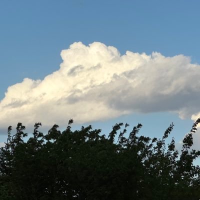 E1gGaNnRXosGDUQ's profile picture. 