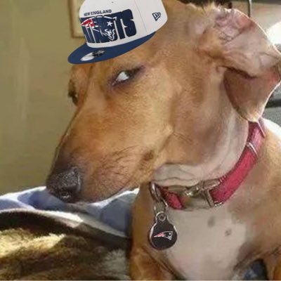 Brett_Pats11's profile picture. 