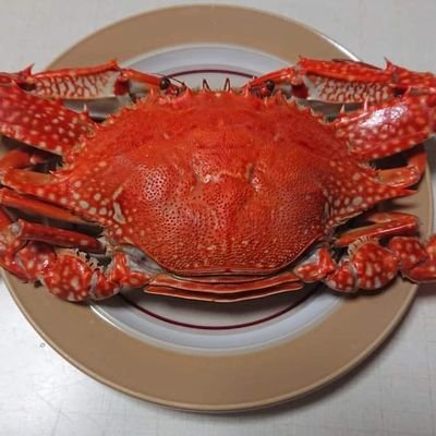 junpey0528j1's profile picture. 広く浅いへっぽこリスナーです✌️色んな番組radikoで聴いてます🥹