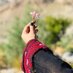 Mahnaz Luqman (@maahnazluqman) Twitter profile photo Mahnaz Luqman (@maahnazluqman) Twitter profile photo
