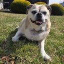 Michele Marshall - @MicheleMars1966 - Twitter