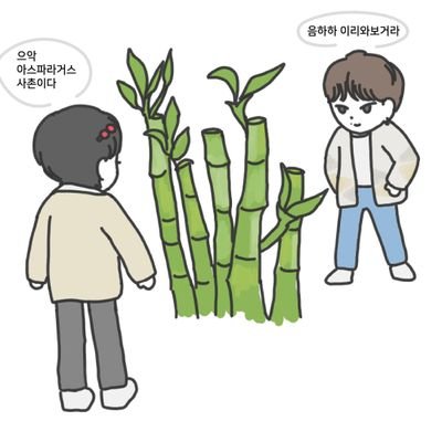 왈페さんのプロフィール画像