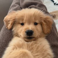 ੯·̀͡⬮ — wxyz “来吧宝贝儿” (@_sundaytomonday) 's Twitter Profile