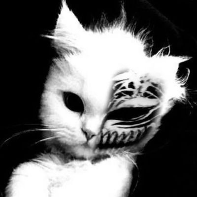 biggballr's profile picture. ok well ion eev carr fr 🧘