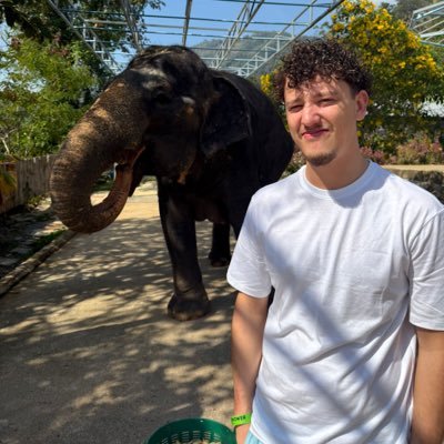 rhyspotter71's profile picture. 