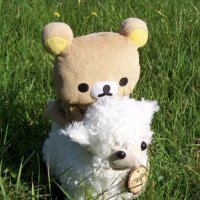 무사 (상태: 착륙완료) (@temchida) 's Twitter Profile