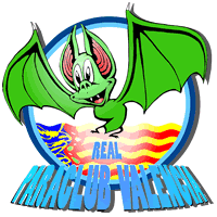SkydiveValencia's profile picture. Desde 1957 practicando el paracaidismo deportivo