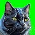 pisi (@pisisol) Twitter profile photo