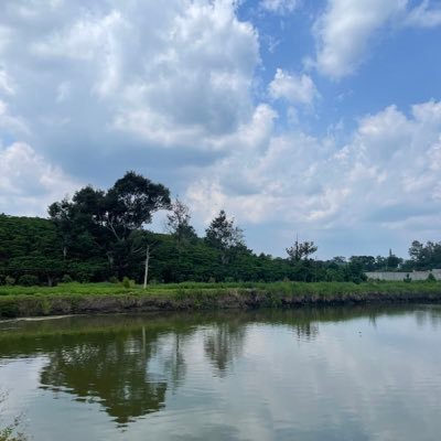 ThEddy9395's profile picture. Estamos trabajando para mejorar. Saludos