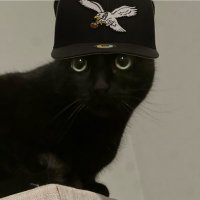 Spajuch (@spajuch) 's Twitter Profile Photo Spajuch (@spajuch) 's Twitter Profile Photo