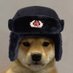 Dog Wif Soviet Hat (@dwshsolana) Twitter profile photo Dog Wif Soviet Hat (@dwshsolana) Twitter profile photo