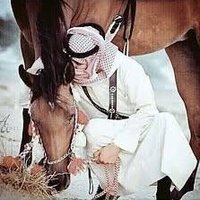 أمرؤ القيس (الجزائـري) (@bibyuuct3gj9xjs) 's Twitter Profile