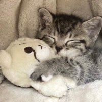 Babe ft. Lucky 🍀 (@mydarkside0x) 's Twitter Profile Photo Babe ft. Lucky 🍀 (@mydarkside0x) 's Twitter Profile Photo