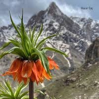 Berman (@73brmn13) Twitter profile photo