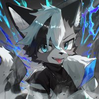 SenacTheHusky (@senachusky) 's Twitter Profile