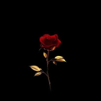 kyotoluvsda's profile picture. Haii call me Kyocera 

I love all animals!