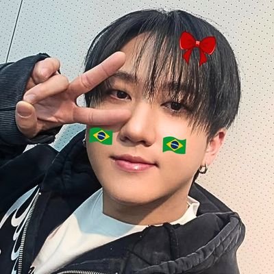 🌎 Stray Kids everywhere all around the world !!