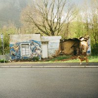 bladee bird (@ontongjc) 's Twitter Profile