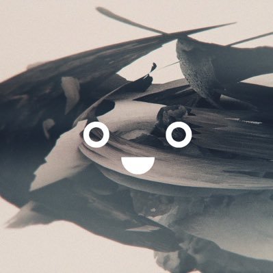 Amazon.co.jp: げんきげんきノンタン きらきら シャンシャン お