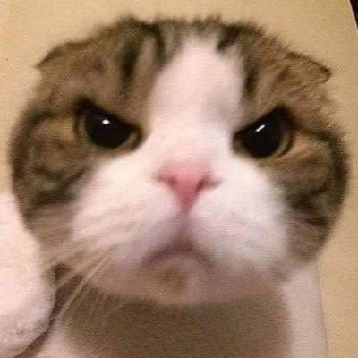 akahadayoo's profile picture. やあ
やってるゲーム　音ゲーとかFPSとか
マイクラとか
鉄道アドオンを作ったりしてます
@akahaaaaa←鉄アド垢
フォロバ810%