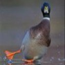 Todd M True - @todd_true - Twitter