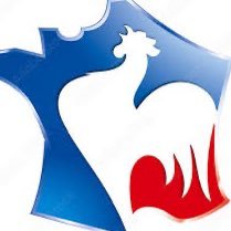 cdrik974's profile picture. 🌍🇵🇱🇮🇱 🇪🇪🇱🇻🇷🇪🇺🇦 🇵🇸🕎